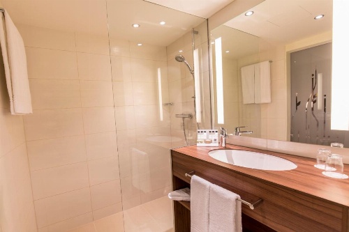 Hilton Garden Inn Vienna South image 22